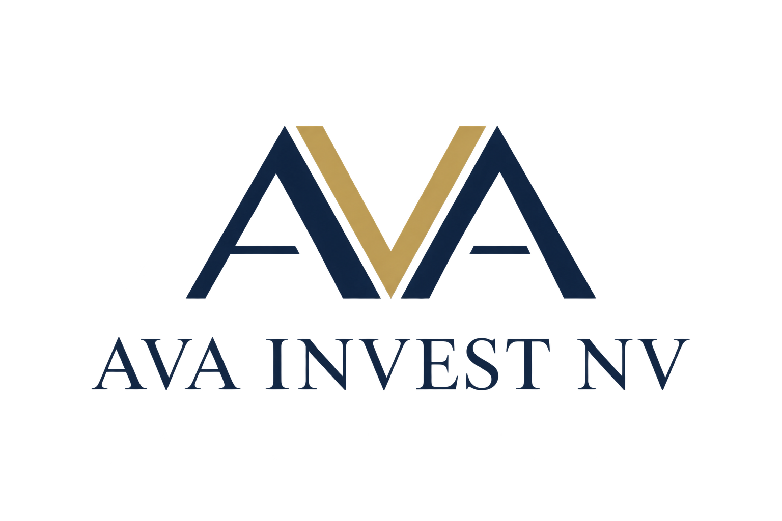 AVA INVEST NV logo